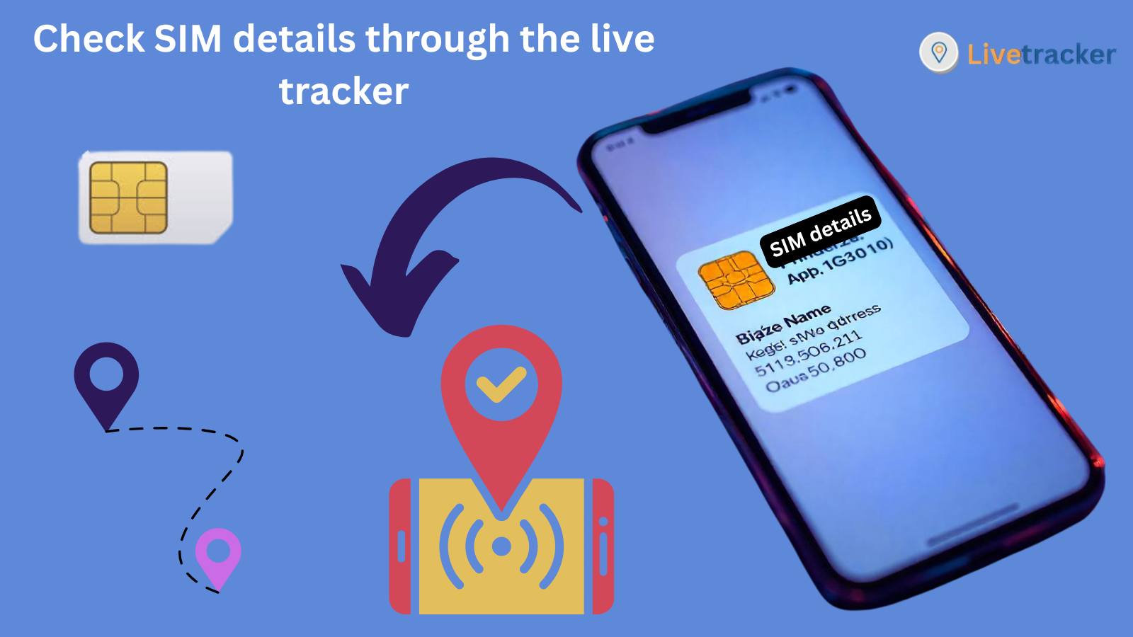 sim information
